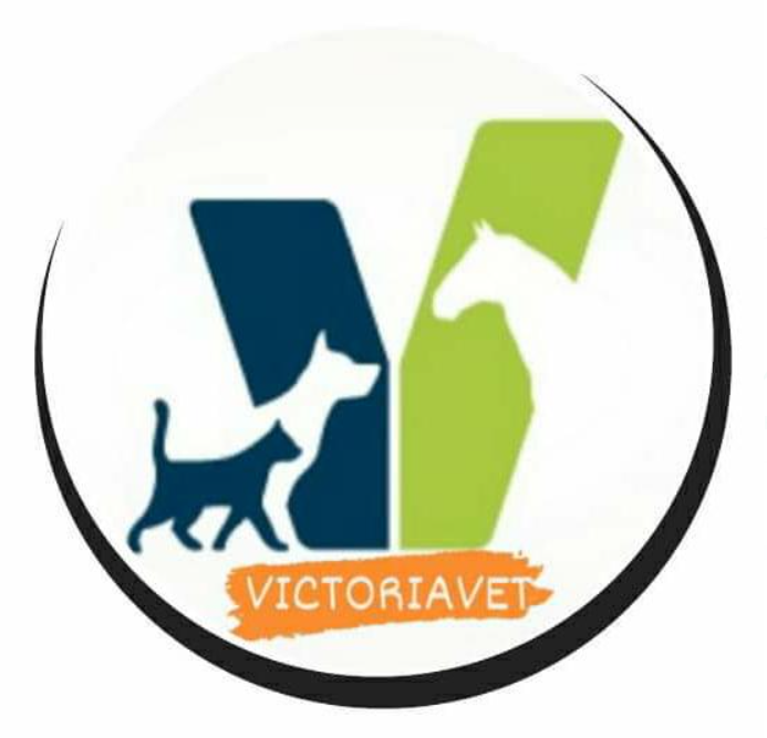 Logo logo